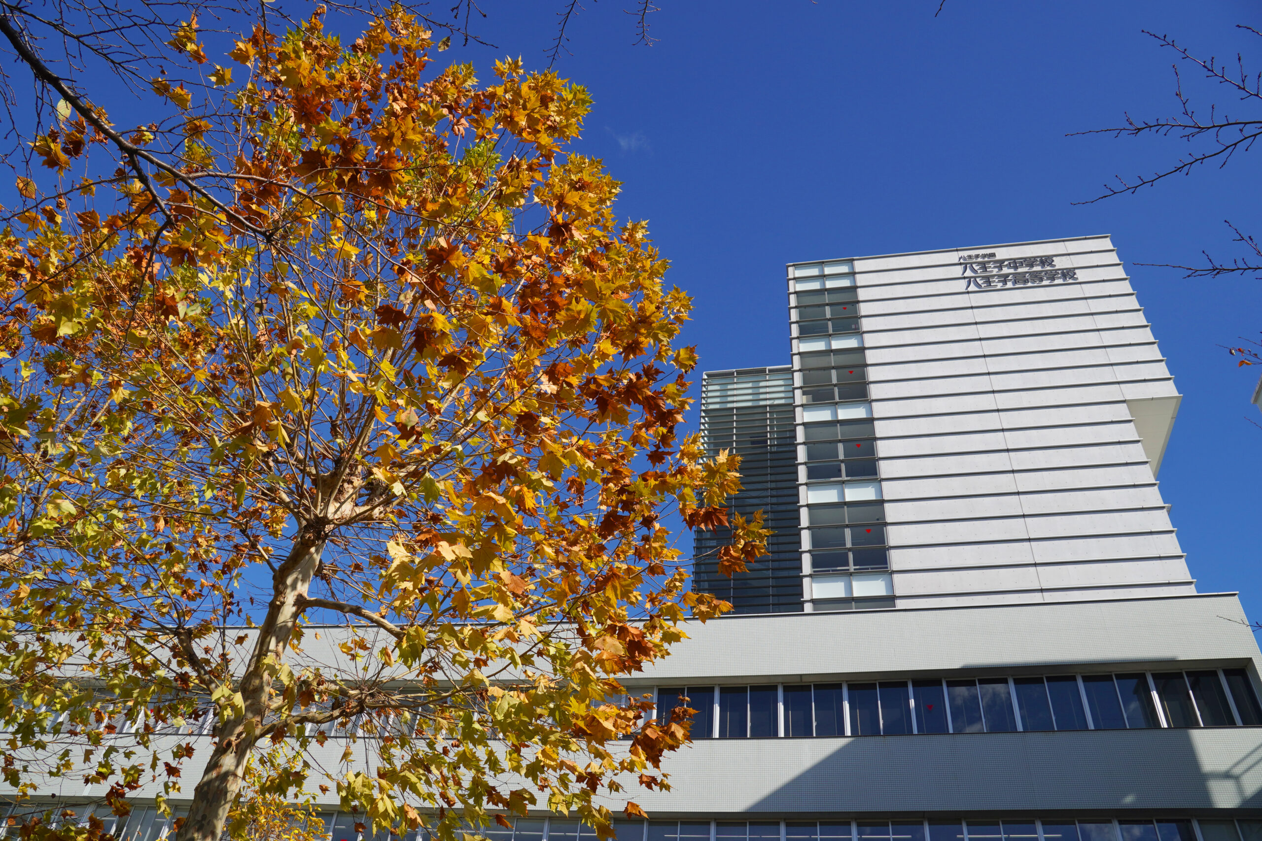 Hachioji Junior high school and Senior high school